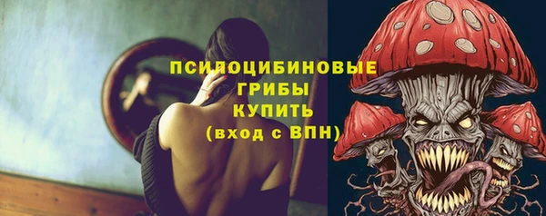 экстази Пересвет