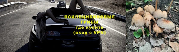 экстази Пересвет