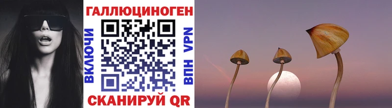 Купить закладки  Кирсанов  Псилоцибиновые грибы Psilocybine cubensis 
